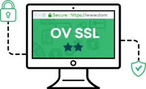 Understanding Domain Validation SSL: Why It Matters for Your Website